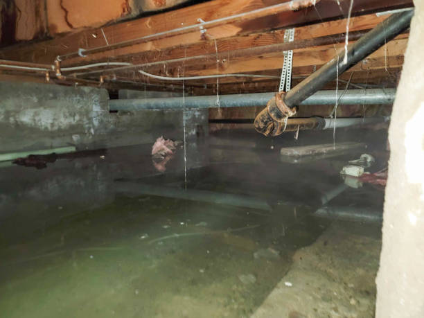Best Flood damage cleanup  in Port Jervis, NY