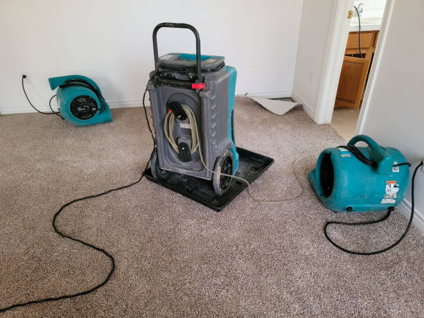 Best Sewage cleanup and water damage restoration  in Port Jervis, NY