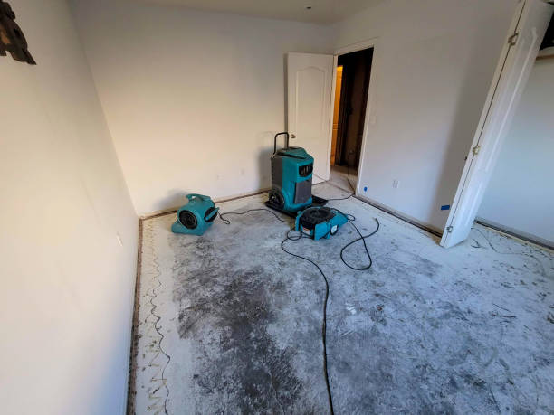 Best Water damage contractors near me  in Port Jervis, NY