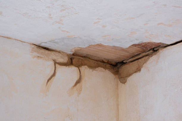 Best Mold removal after water damage  in Port Jervis, NY