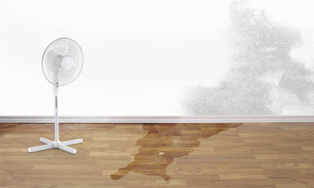 Best Ceiling water damage repair  in Port Jervis, NY
