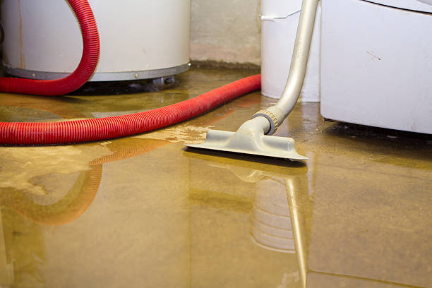 Best 24-hour water damage restoration  in Port Jervis, NY