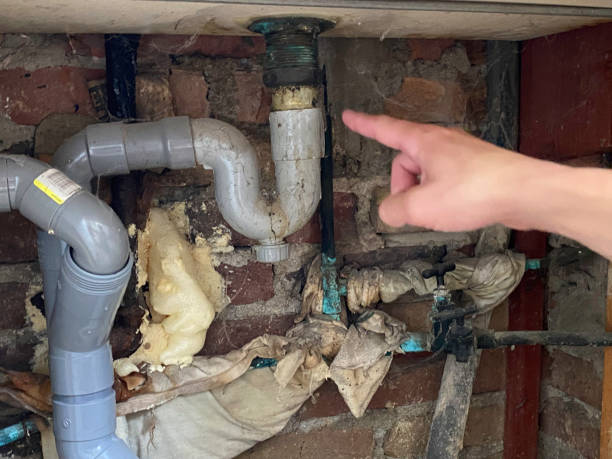 Best Water damage cleanup near me  in Port Jervis, NY