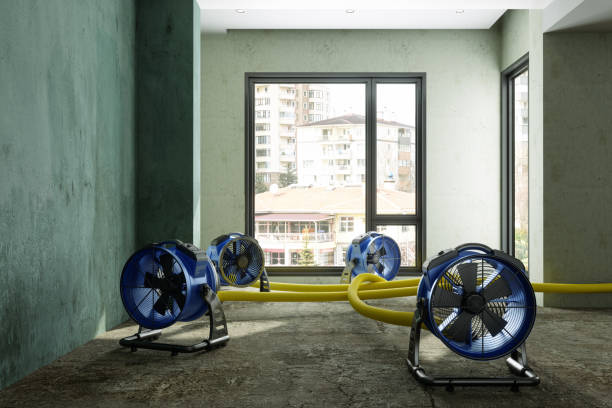 Best Water damage contractors near me  in Port Jervis, NY